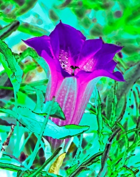 F 031B